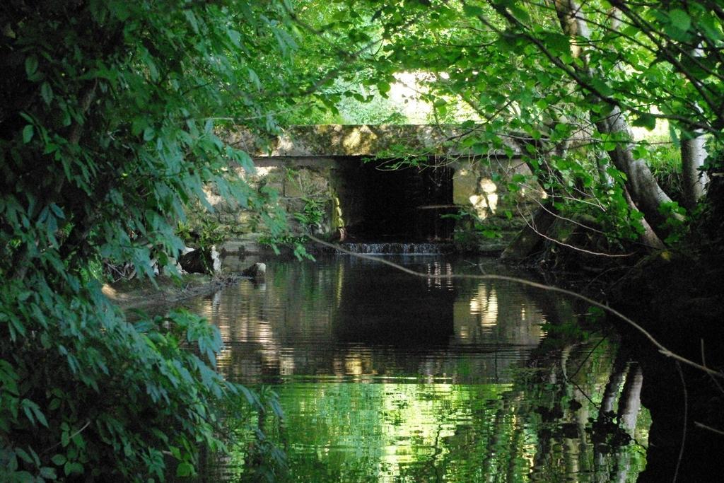 Moulin De Coupigny Villa Fontenille-Saint-Martin-d'Entraigues Oda fotoğraf