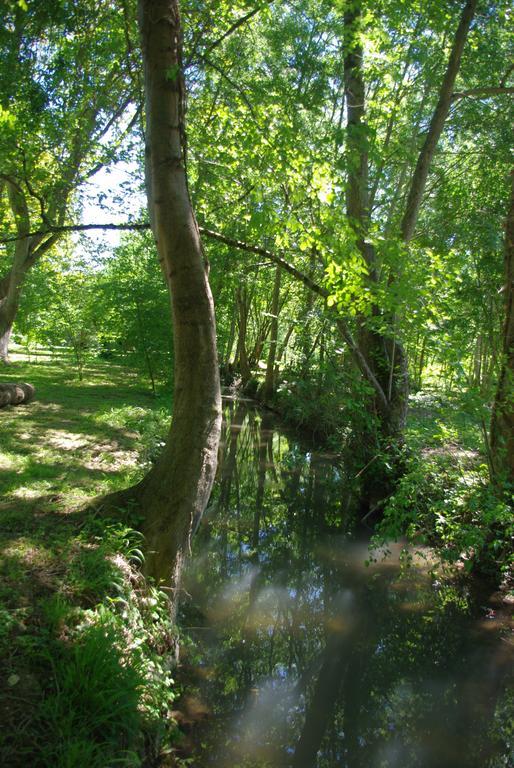 Moulin De Coupigny Villa Fontenille-Saint-Martin-d'Entraigues Oda fotoğraf